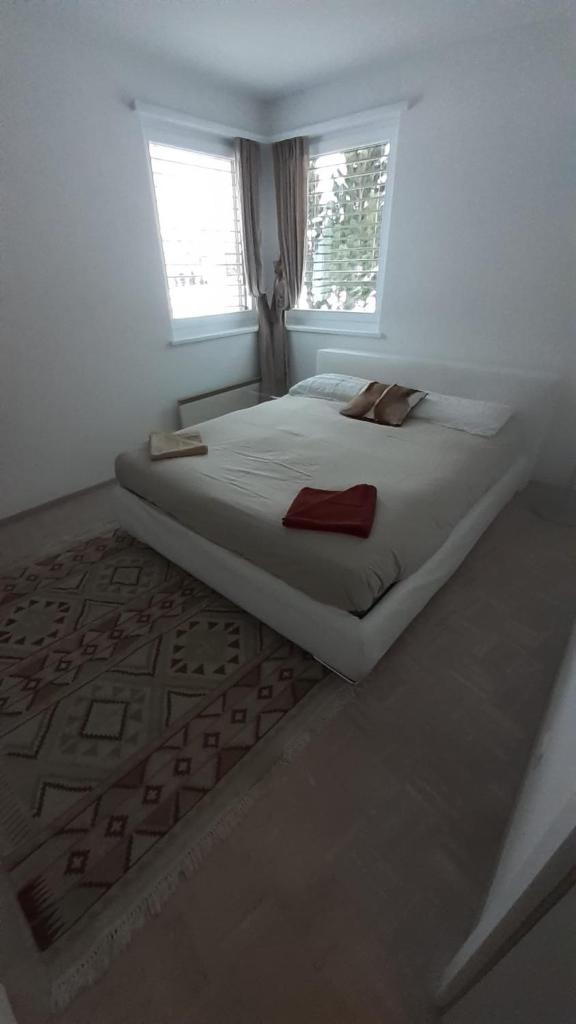Lovely 3 Bedroom Apt. photo 4