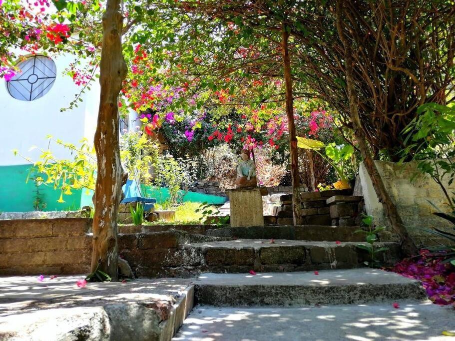 Casa Don Rubén photo 1