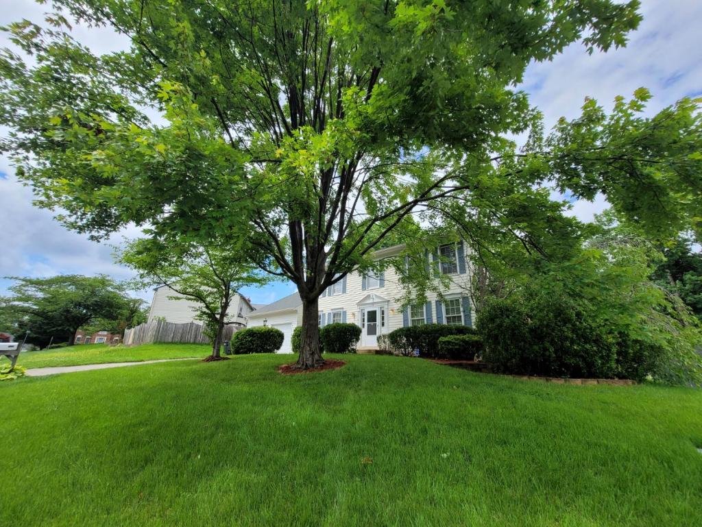 Hetten Manor photo 1