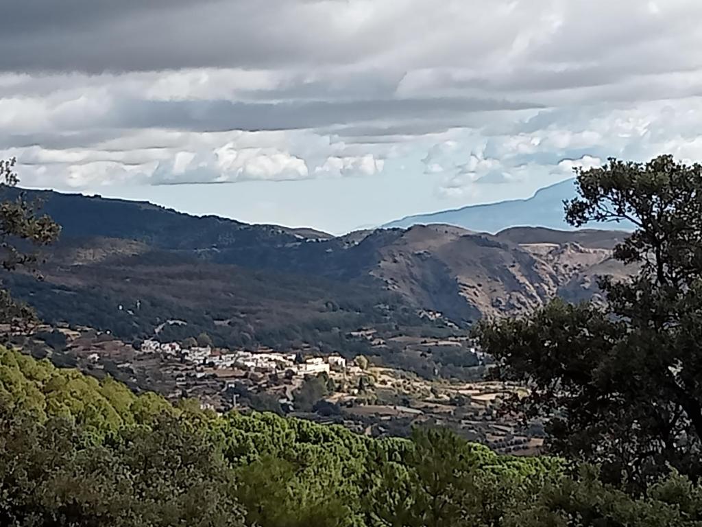 La Casita photo 2