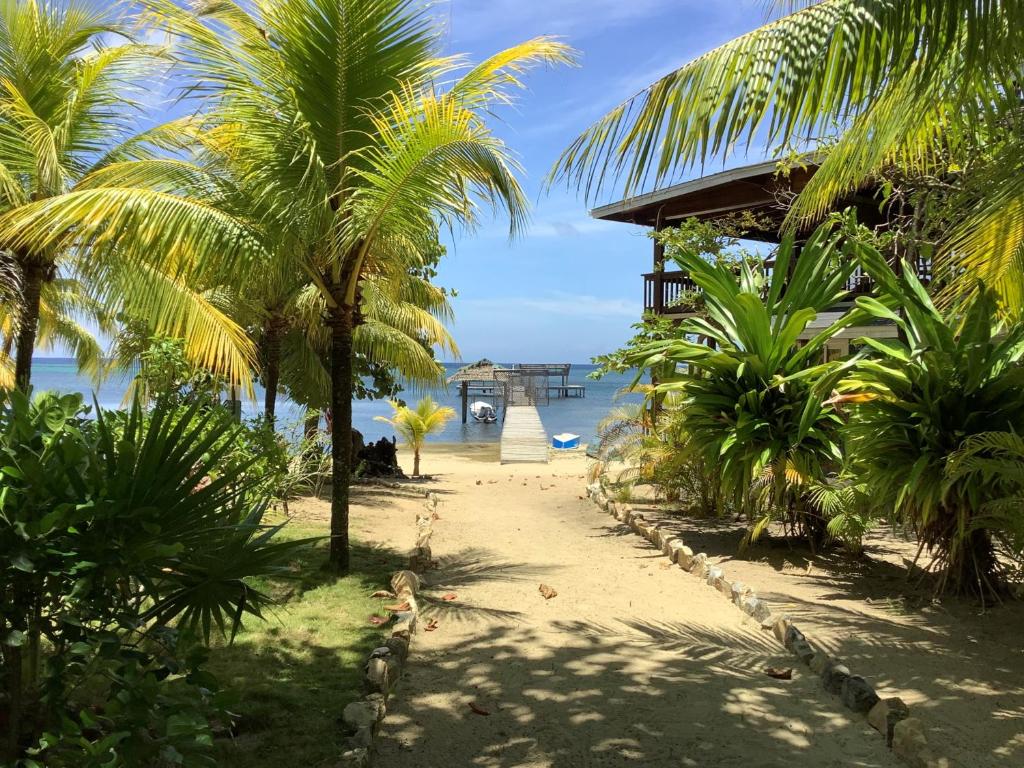 Tropical Treehouse photo 4