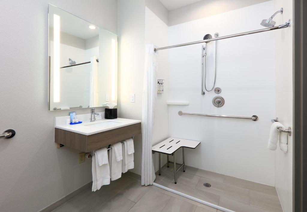Holiday Inn Express & Suites North Dallas at Preston, an IHG Hotel photo 3
