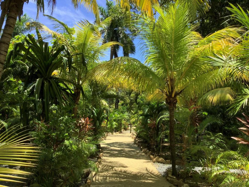 Tropical Treehouse photo 3