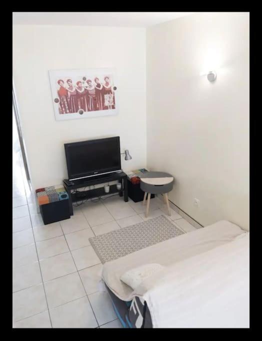 T1 proximité de Montpellier. photo 3