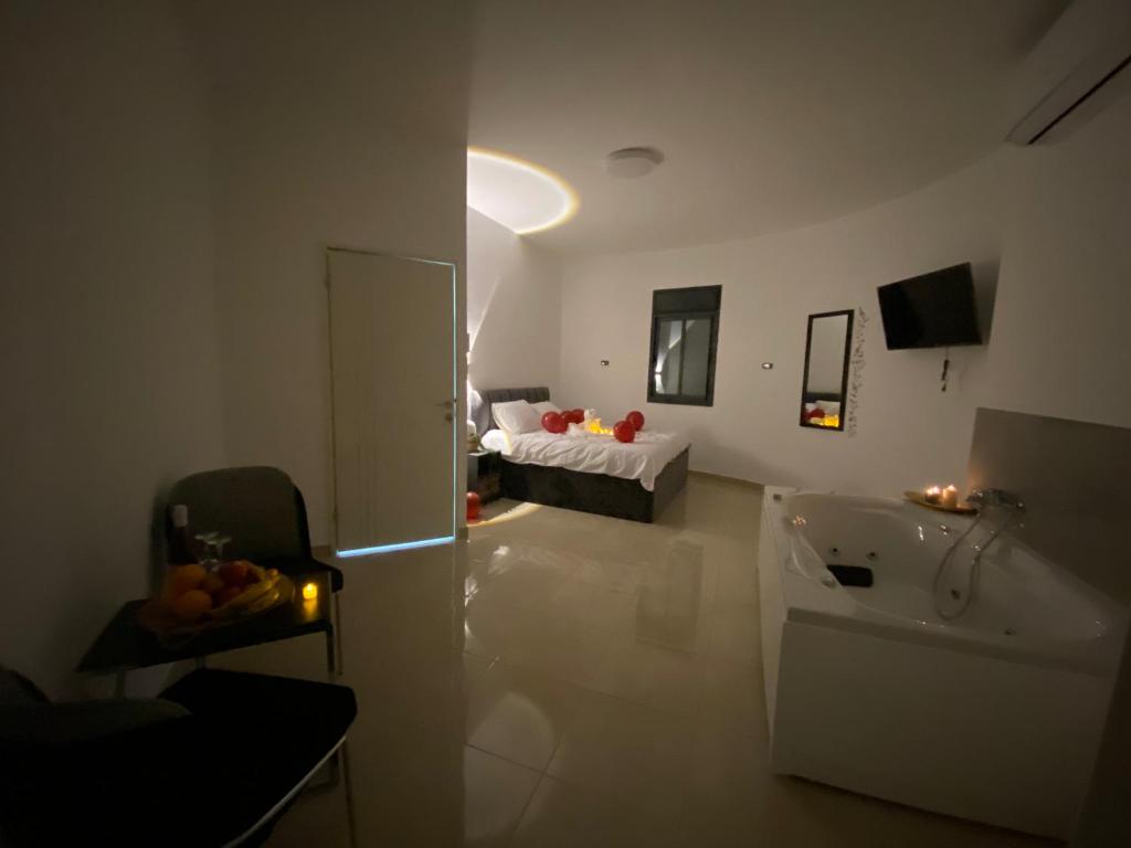Sol Zimmer photo 4