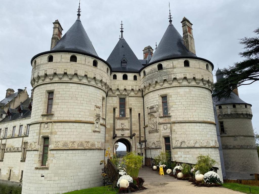 Les Pod Atypique de Sologne - Spa Privatif - Zoo de Beauval - 정원