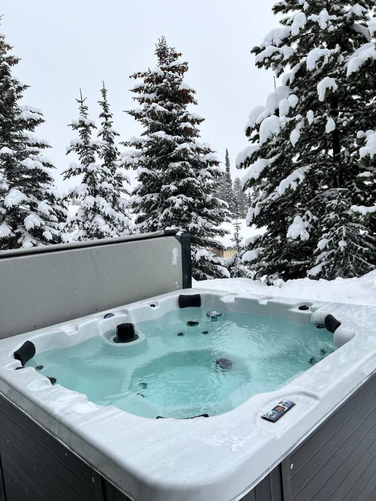 Bearcub Chalet photo 1