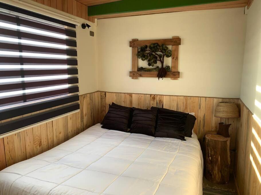 Cabaña sustentable para reponerse en Chiloe