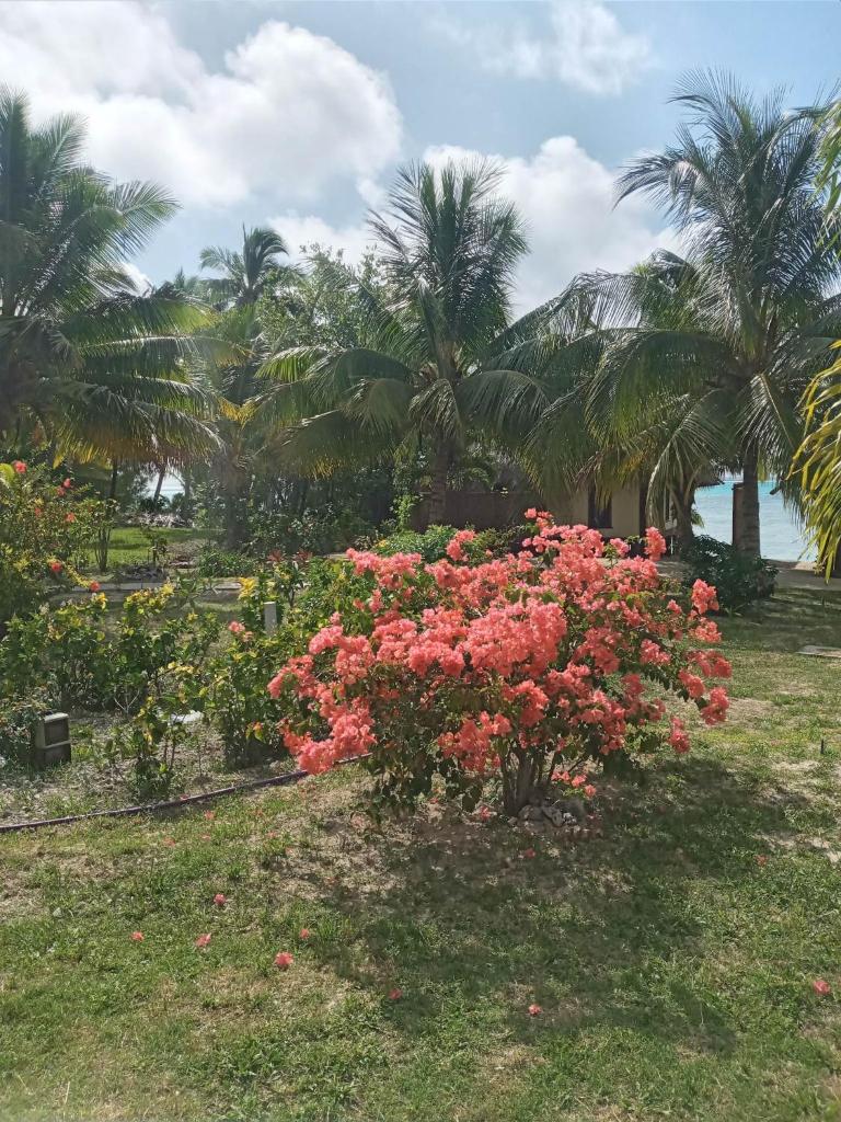 Heaven to Sea Beach Villas photo 1