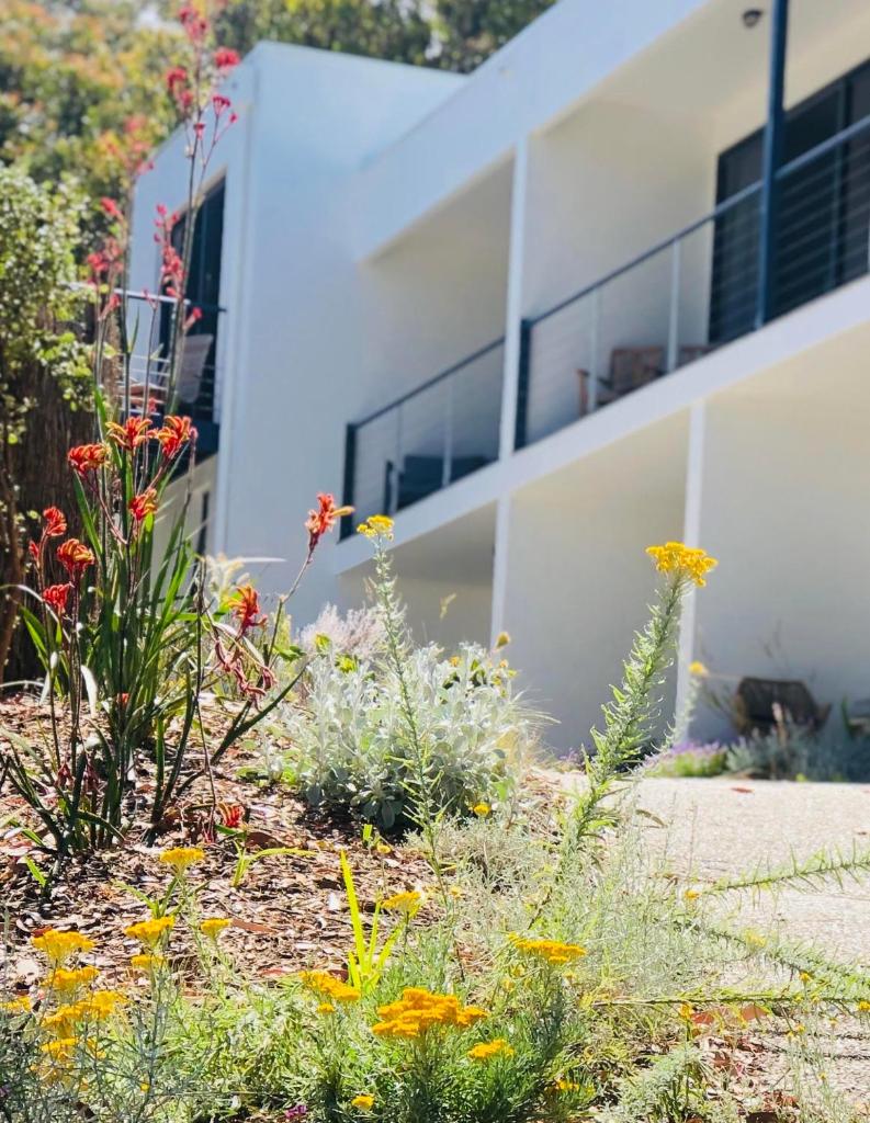 Lorne Surf Apartments photo 3