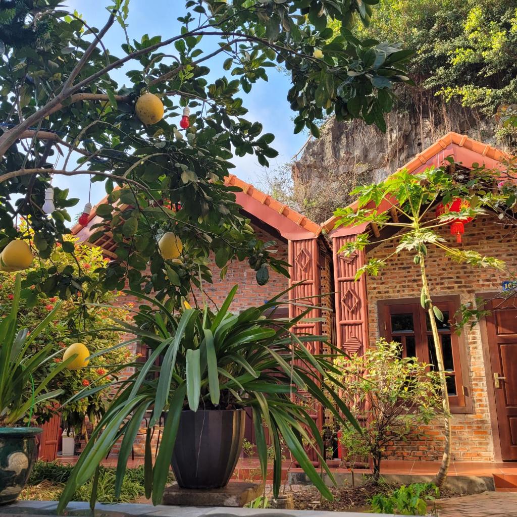 Tam Coc Mountain Lake Homestay