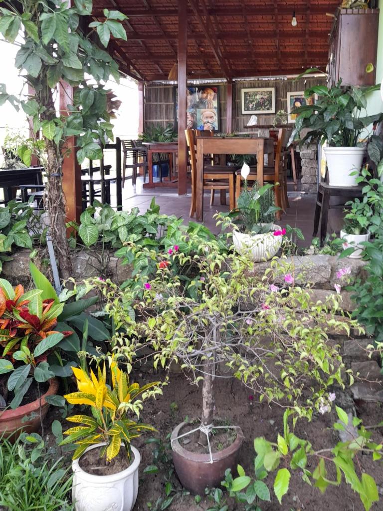 La Terrazza
