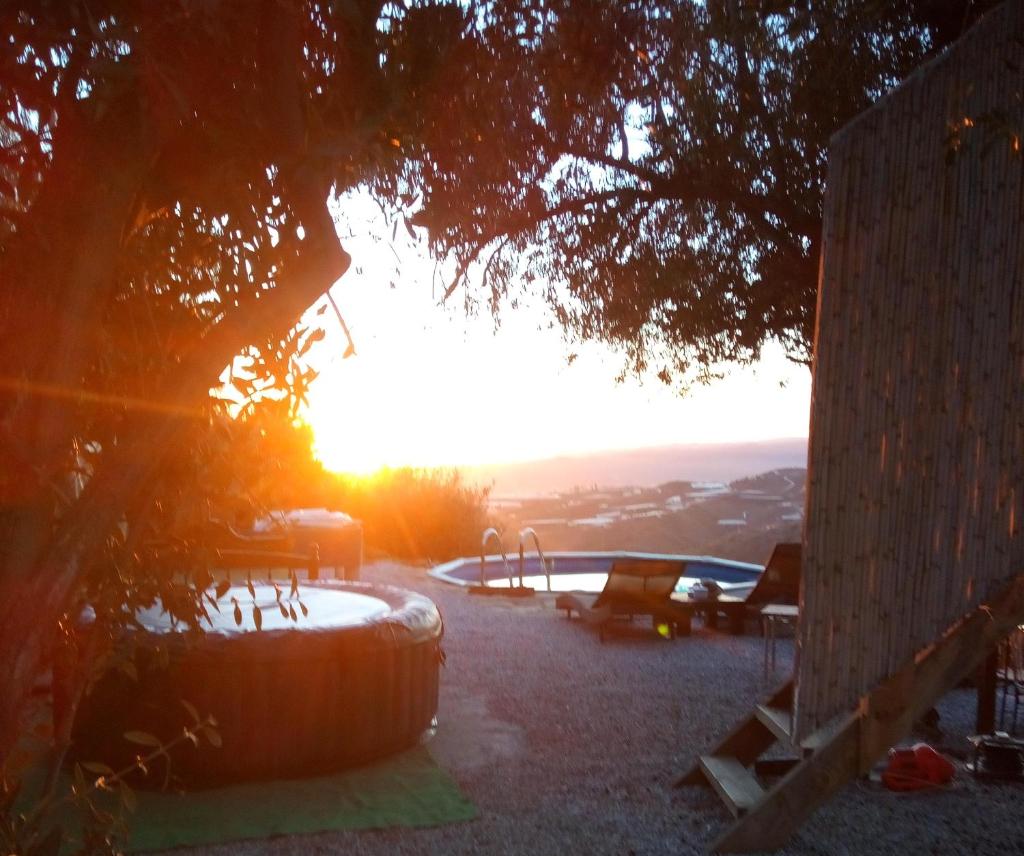 Treehouse ,Casa Arbol, with Spa photo 4