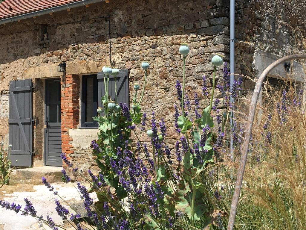Gîte de la Pisserotte photo 4
