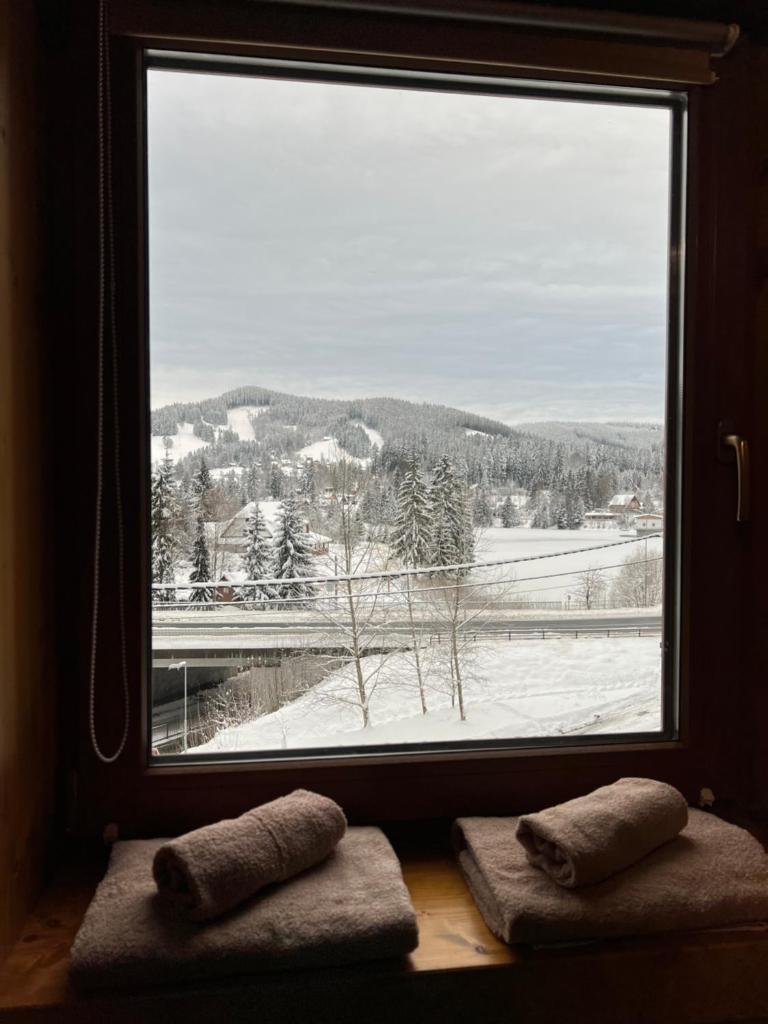 Chata na přehradě s vlastním wellness photo 3