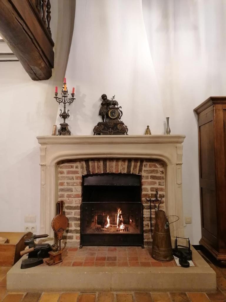Au détour du vieux hêtre photo 1