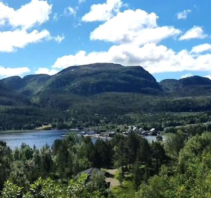 Vingvågen hygge og ro photo 1
