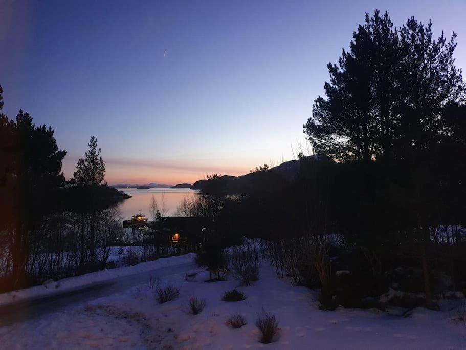 Vingvågen hygge og ro photo 3
