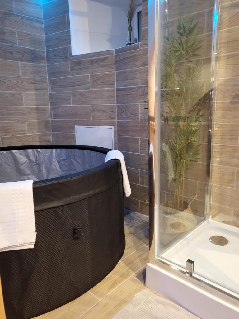 Le Spa de la Cathédrale - Jacuzzi - Sauna - Champagne - Netflix - Wifi photo 4