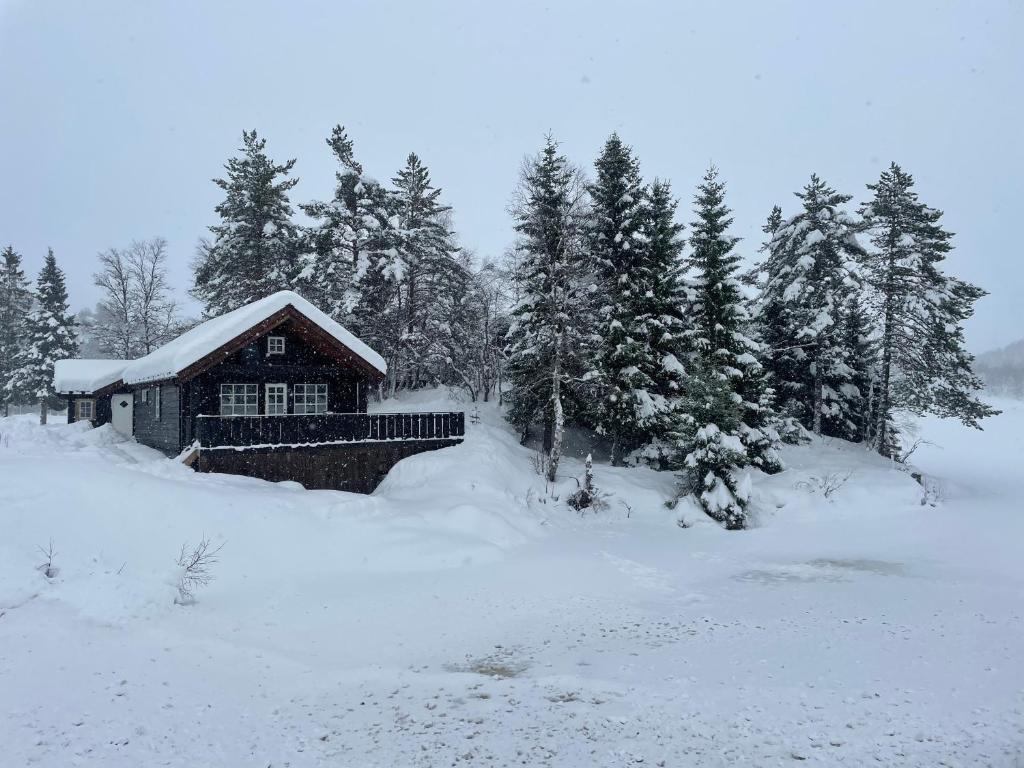 Holiday cottage with sauna close to Kjerag photo 2
