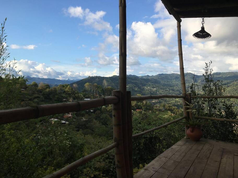 La pajarera photo 1
