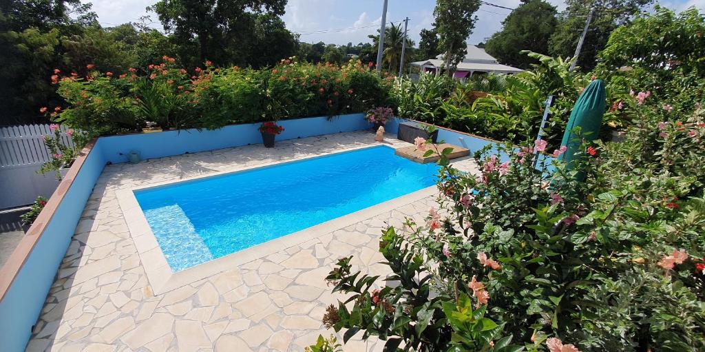 "Chez Claudia "charmant logement avec jacuzzi privatif en toute intimité sur belle terrasse extérieure en bois et piscine photo 4