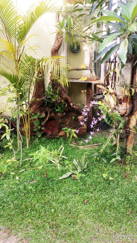 Nilupul Villa photo 3