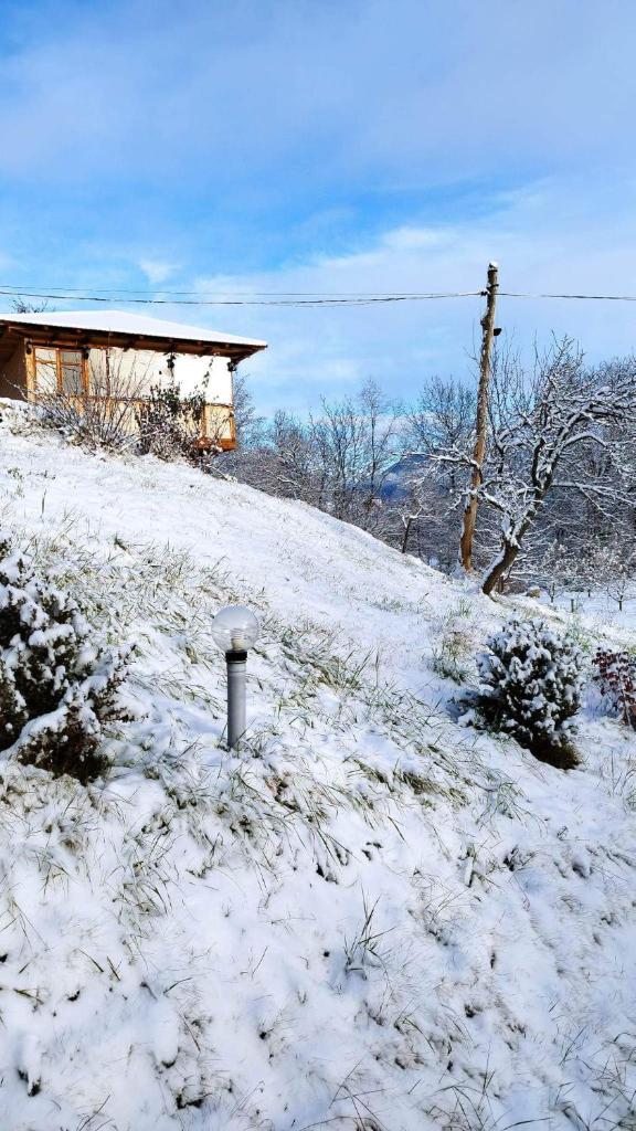 Casa Veche Corbeni photo 2