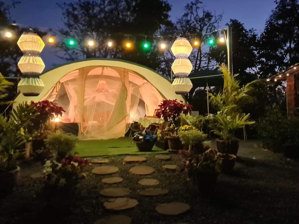 Villa Noina Glamping photo 1