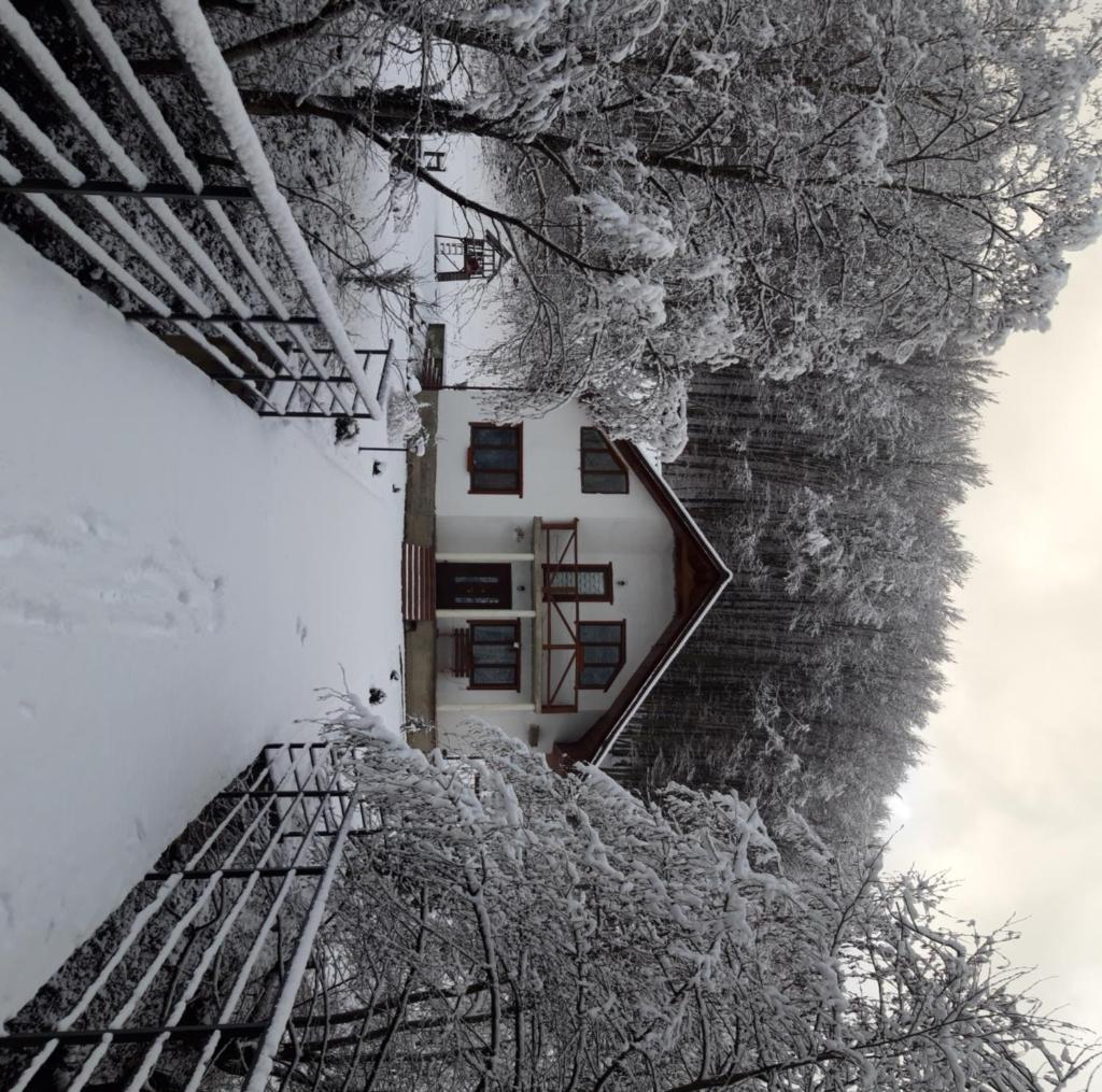 Bilya Lisu photo 2