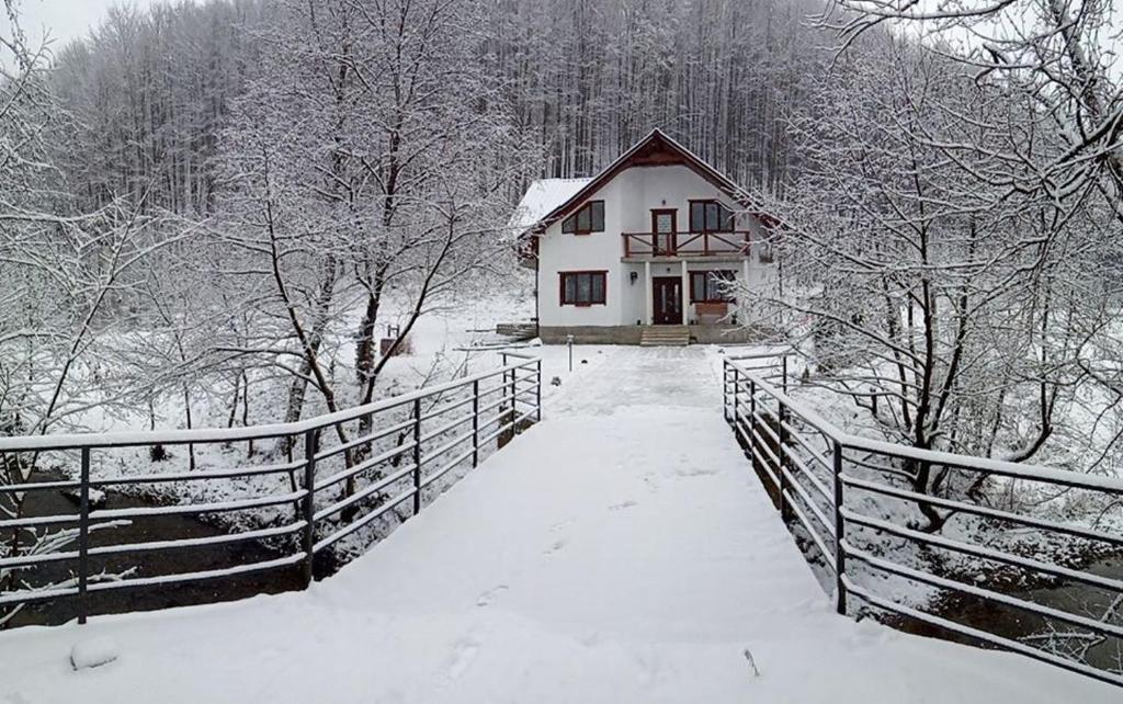 Bilya Lisu photo 1