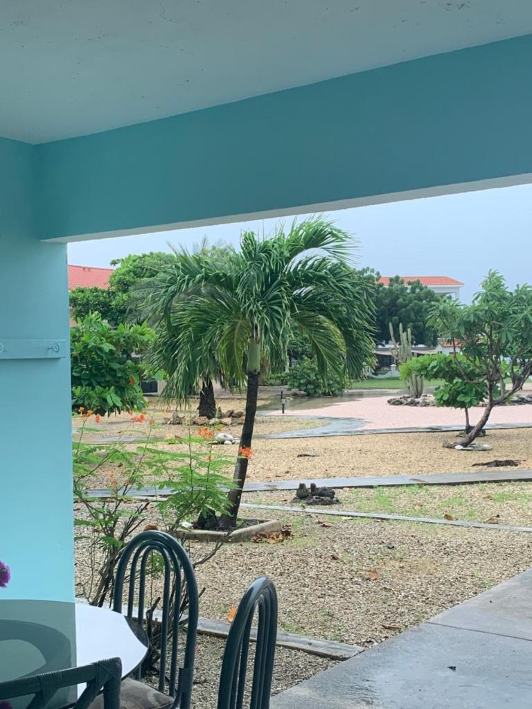 Sand Dollar Apartment B11 Serenity By The Sea photo 1