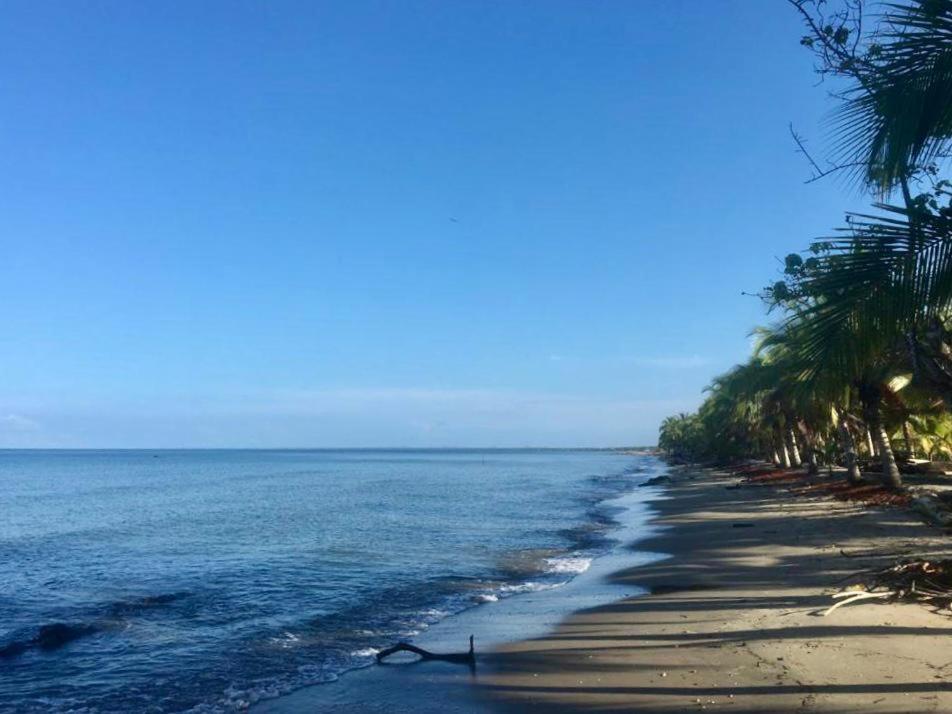 Casa Manglar photo 1