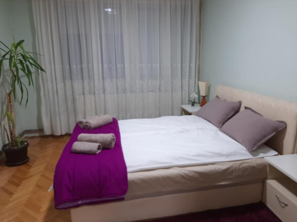 Apartman Luna photo 1