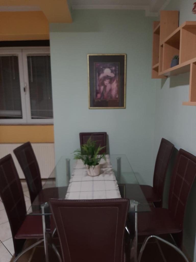 Apartman Luna photo 4
