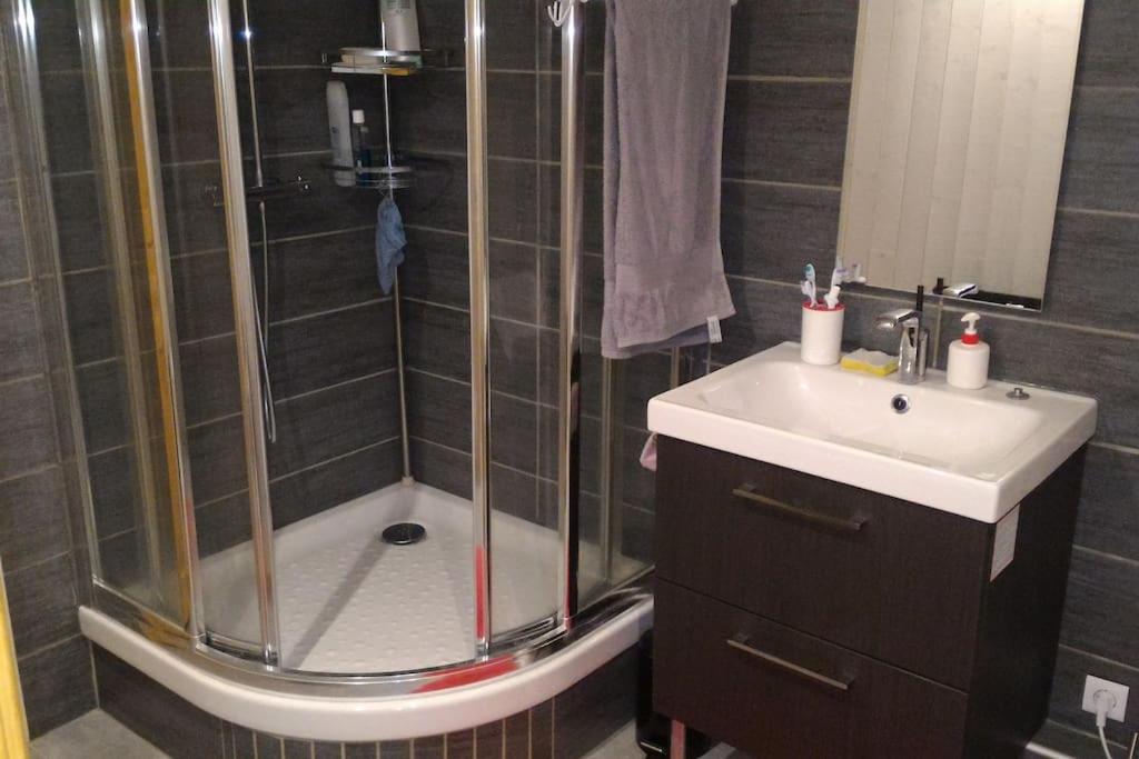 Très joli studio de 25m2 dans RDC d'un Chalet. photo 4