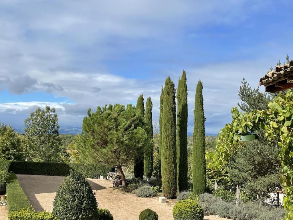 On dirait LE SUD photo 1