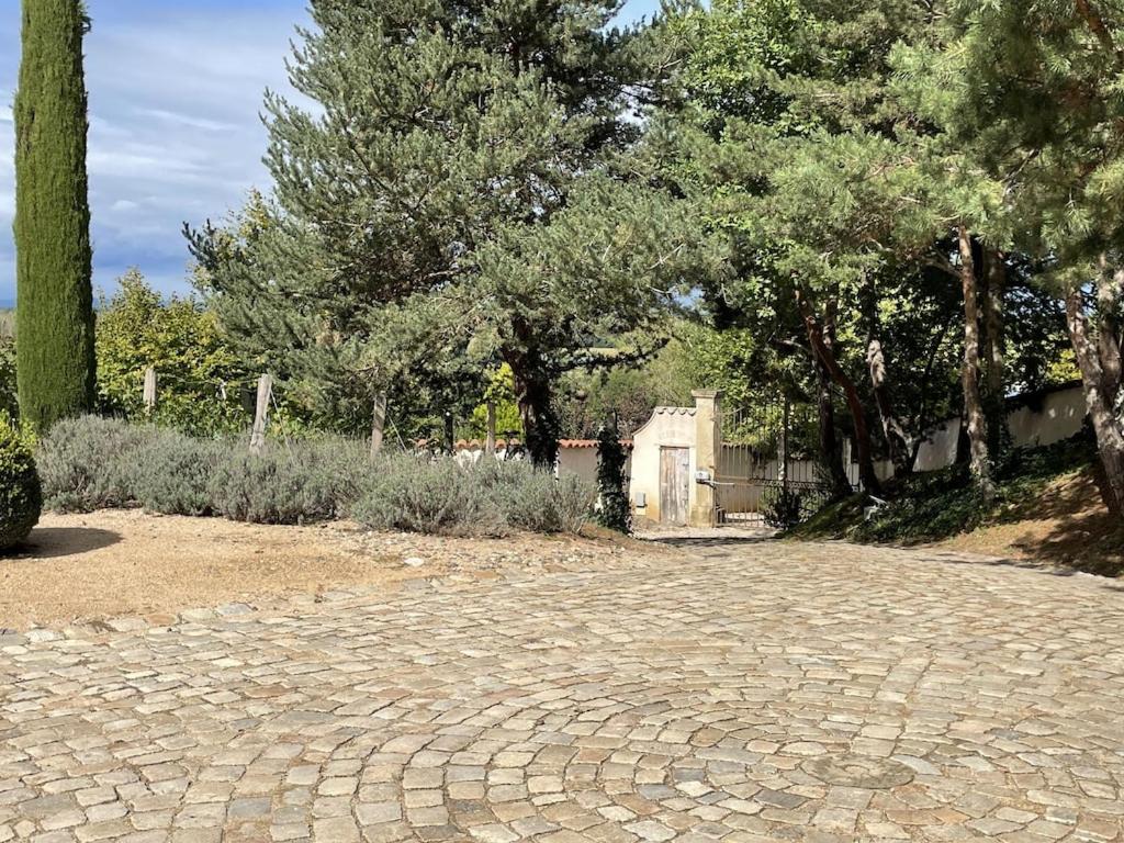 On dirait LE SUD photo 4