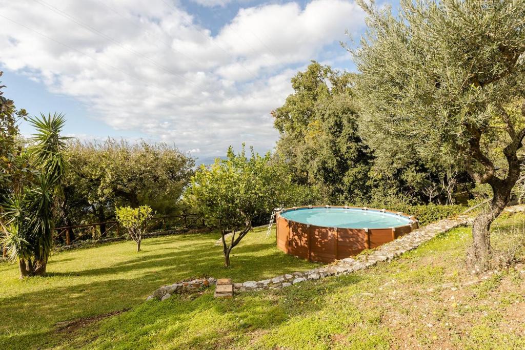 Villa Carmelina - Cersuta di Maratea photo 3
