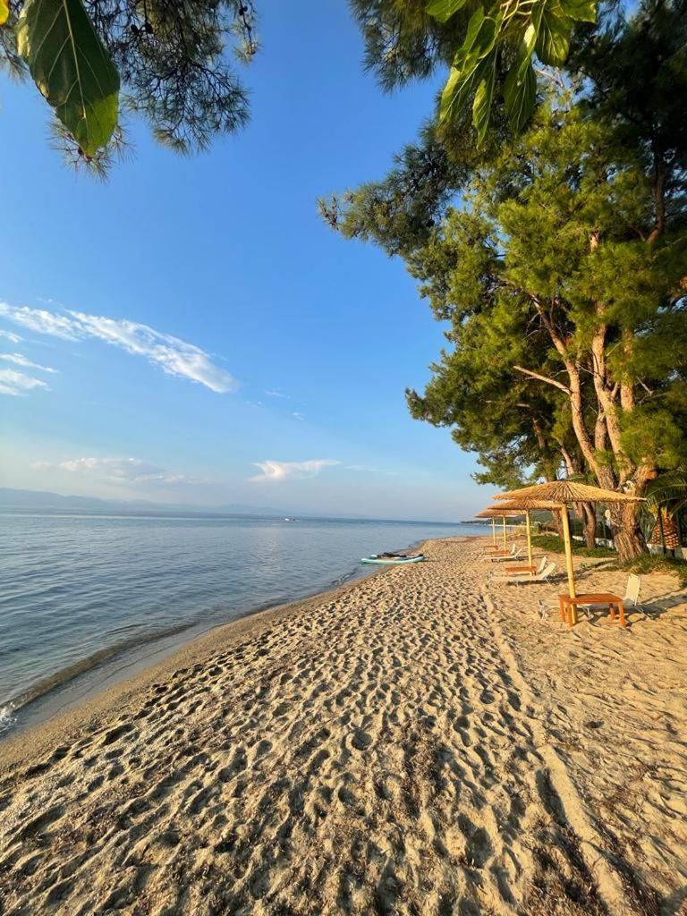 VILLA LUCIA photo 1