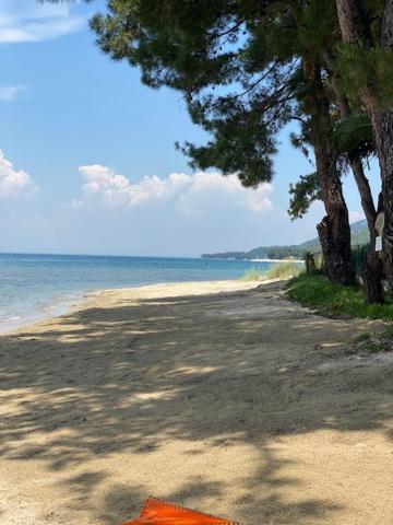VILLA LUCIA photo 2