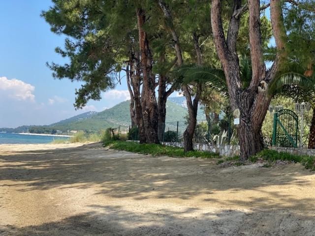 VILLA LUCIA photo 3