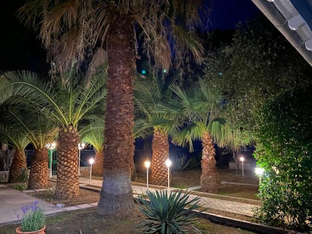 VILLA LUCIA photo 4