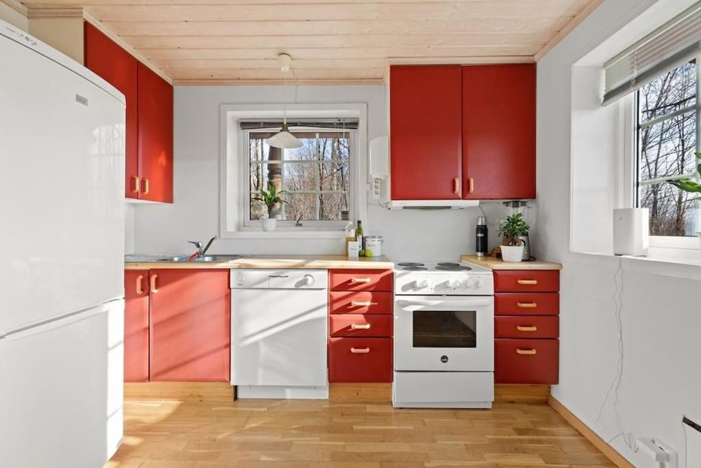 Pretty appartment close to Oslo photo 1