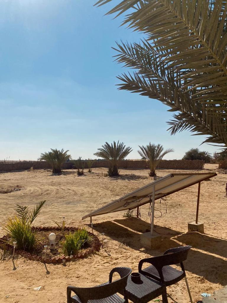 Siwa Desert Home photo 3