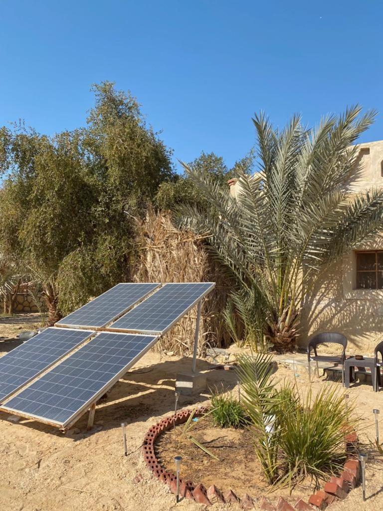 Siwa Desert Home photo 4