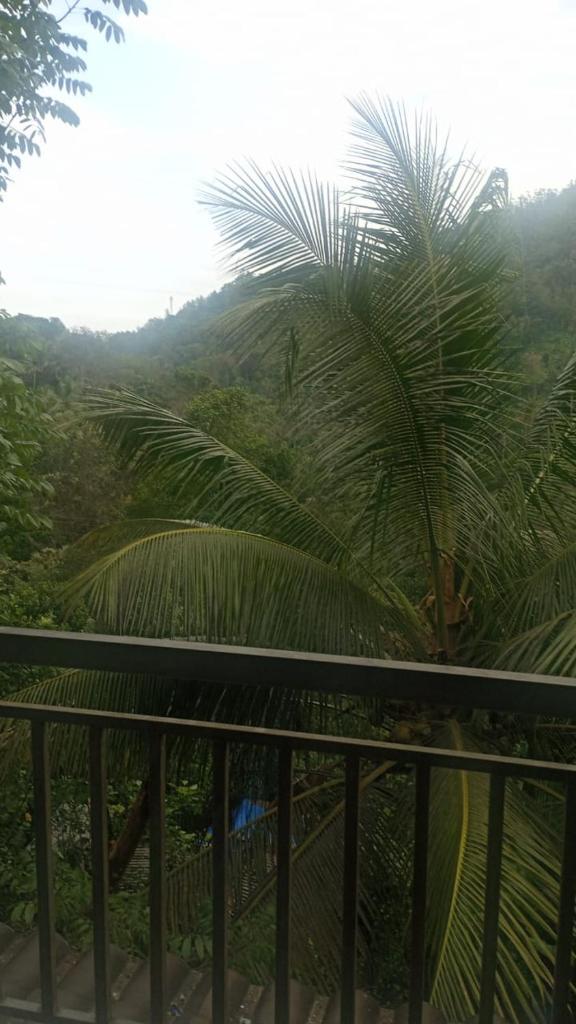 Riya Home Stay Munnar photo 2