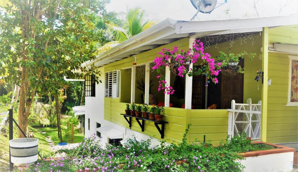 Leatherback Lodge Eco B&B photo 3