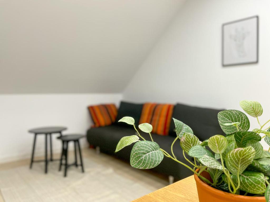 Ferienwohnung Schönes Maifeld photo 2