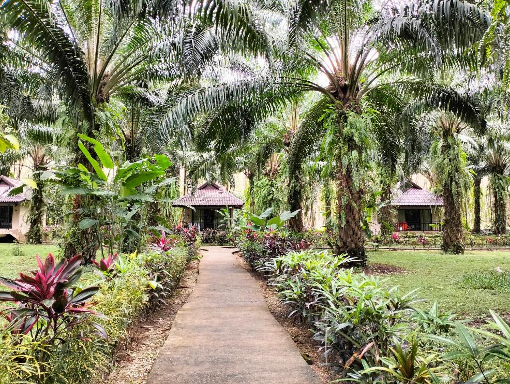 Khao Sok Palm Garden Resort photo 4
